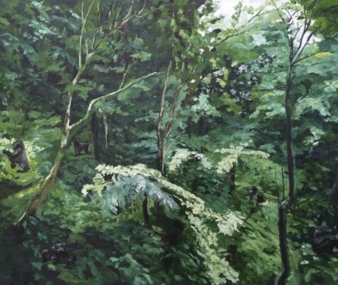 A Band of 5 Mountain Gorillas A Band of 5 Mountain Gorillas